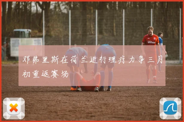 邓弗里斯在荷兰进行理疗力争三月初重返赛场