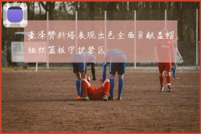 豪泽赞科塔表现出色全面贡献盖帽组织篮板守护禁区
