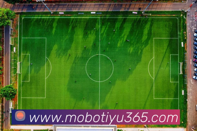 多媒体互动体验