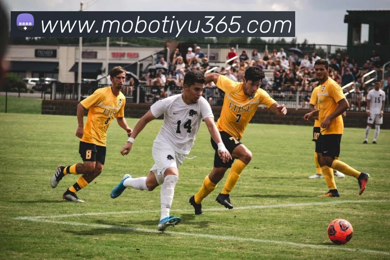 摩博体育APP 高清赛事图